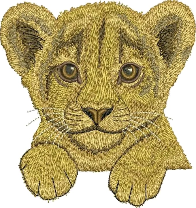 WhatsApp Image 2025-09-10 at 10.47.56 AM